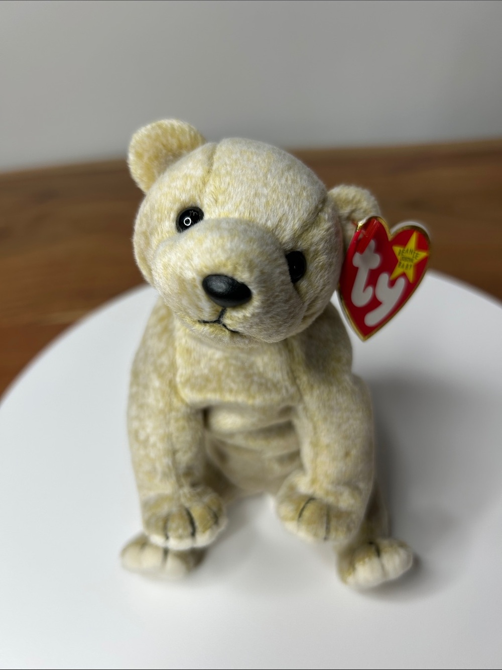 3/$25🌻 1999 TY Beanie Baby Almond Bear w/ Tags & Acrylic Case